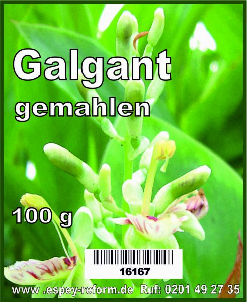 Galgant gemahlen 100 g